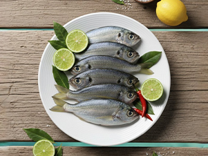 White Fish/ false Trevally