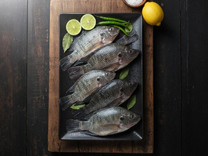 Black Snapper / Karipetti